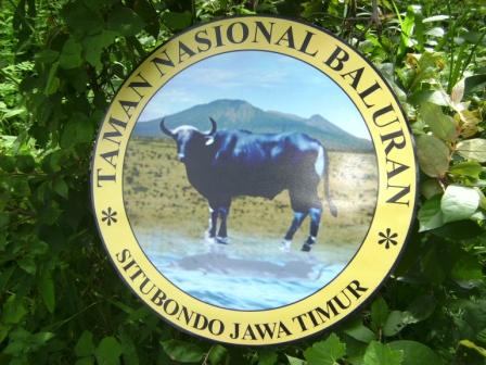 Bali Barat National Park and Baluran National Park east Java Birding Tours