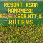 DSCI0332