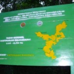 Map Of Karaenta Forest Map Of Karaenta Forest