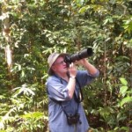 Birding Kalimantan Birding Kalimantan