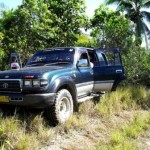 Birding by Land Cruiser on Foli