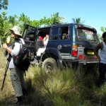 Birding on Foli Halmahera