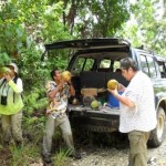 Drink the Coconut Juice in Halmahera