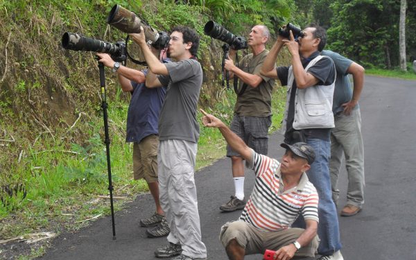 Birding on Sulawesi and Halmahera 2013 – 2014 Events