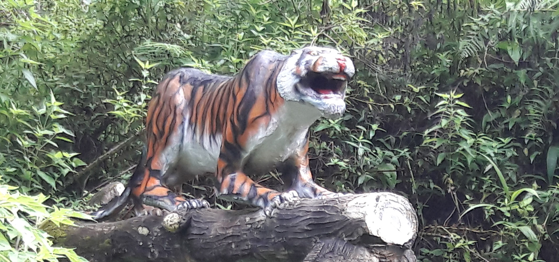 Kerinci Seblat National Park Tour Kerinci Seblat National Park Tour