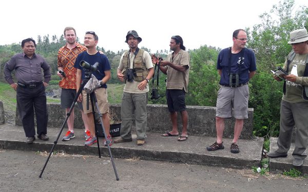 Bali Barat Birding Survey Tours