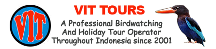 Indonesia Birding Tours