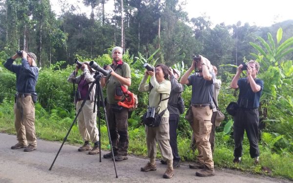 Sulawesi and Halmahera Birdwatching Tours (Wallacean Emdemics Birds)