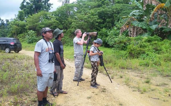 Sulawesi Papua Birding Tours Include Arfak Mountain and Waigeo Island