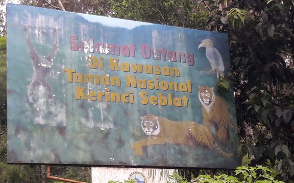 Kerinci Seblat National Park included Tapan Road & Way Kambas Birding Tours (11 Days / 10 Nights)