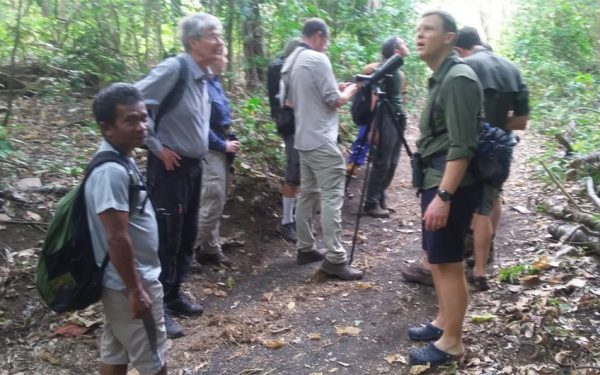 sulawesi-and-halmahera-birding-tours-the-group-succeed-on-seeing-geomalia-09