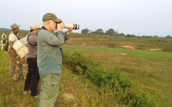 peter-roberts-birding-tours-to-gunung-gede-on-west-java-and-kerinci-seblat-national-park-includeded-tapan-road-on-jambi-and-the-waykambas-np-on-lampung-11