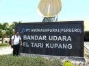 View The Birdwatching/Holidays Tour in Lesser Sundas Album
